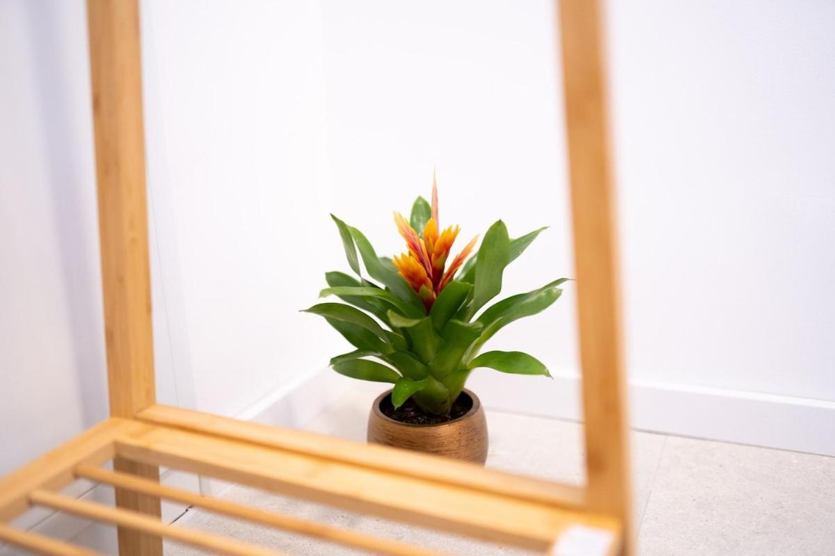 Apartment W Design With Balcony & Free Parking Wien