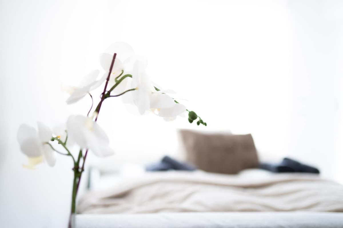 W Design With Balcony & Free Parking Apartment Wien